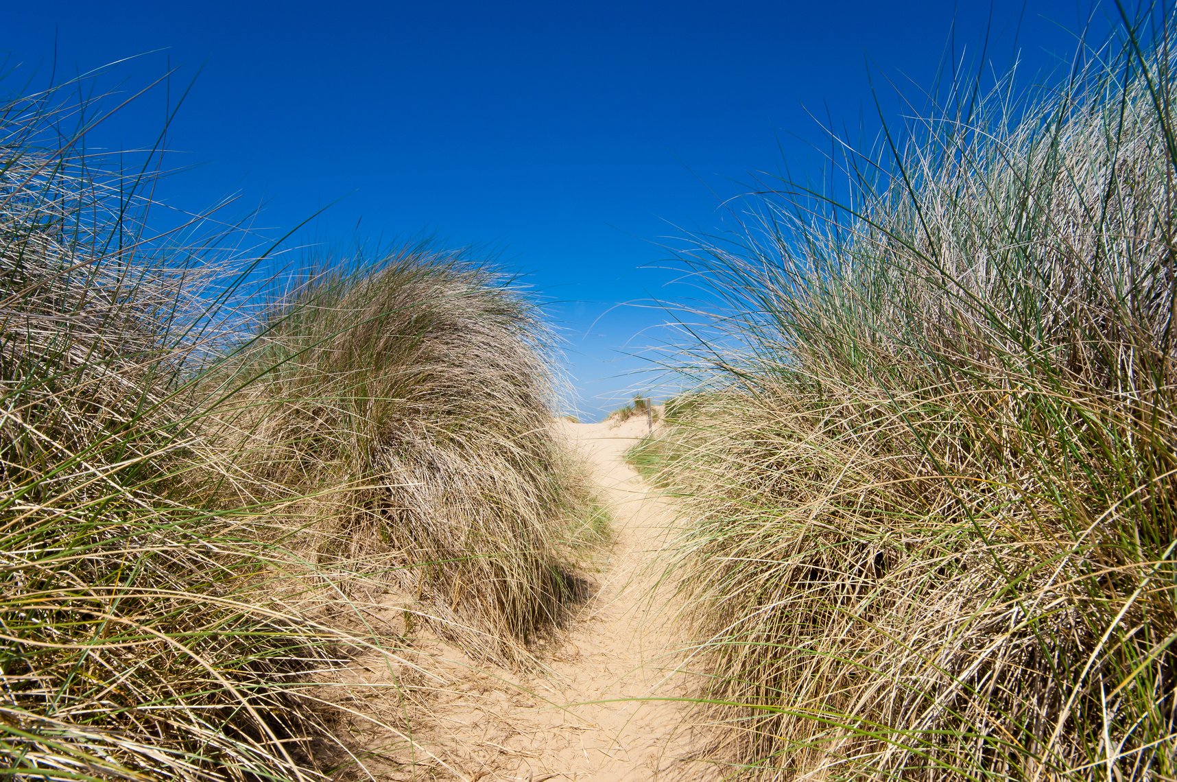 Sand dunes